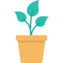 decoration,furniture and household,pot,plant,plant pot,flower pot